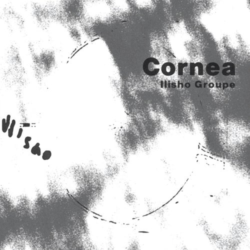 Cornea