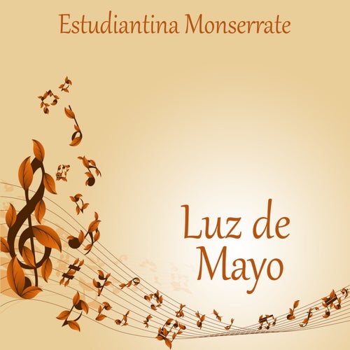 Flor de romero
