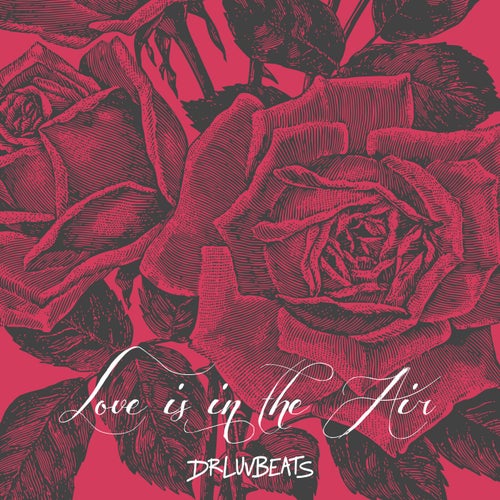 Release of the week