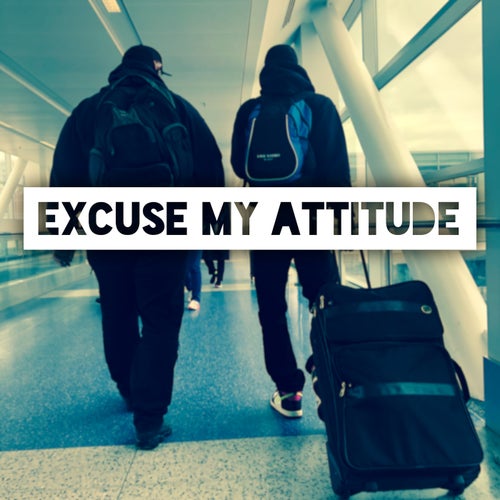 Excuse My Attitude