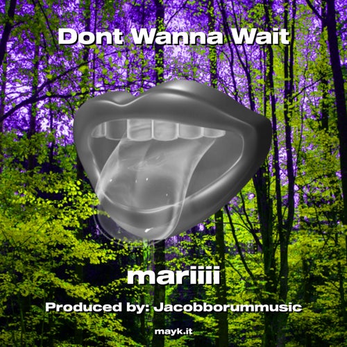 Dont Wanna Wait