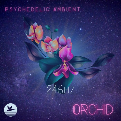 Orchid (246hz)