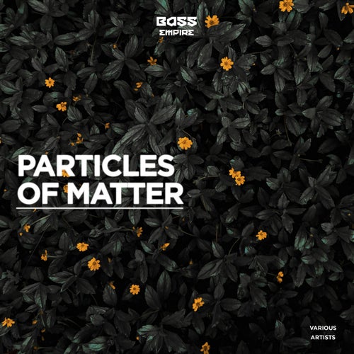 Particles of Matter