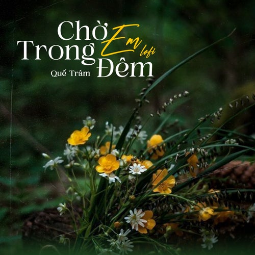 Chờ Em Trong Đêm (Lofi Mix)