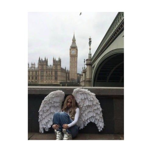 WINGS