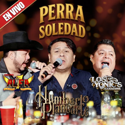 Perra Soledad (En Vivo)