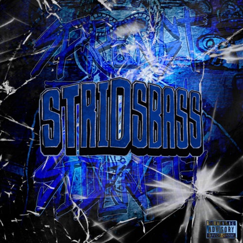Stridsboss