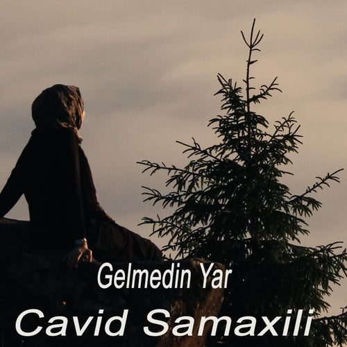 Gelmedin Yar