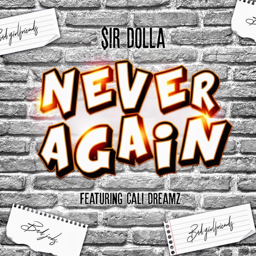 Never Again (feat. Cali Dreamz)