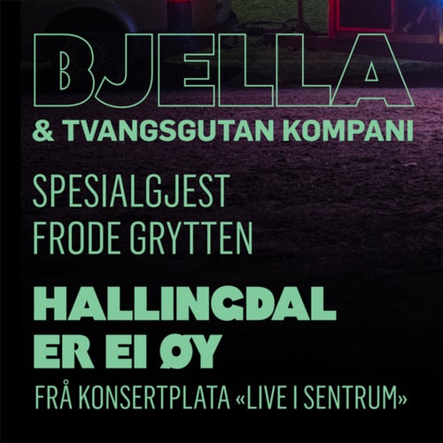 Hallingdal er ei øy (Live i sentrum)