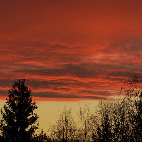 brushed into evening
