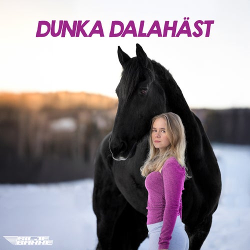 Dunka dalahäst