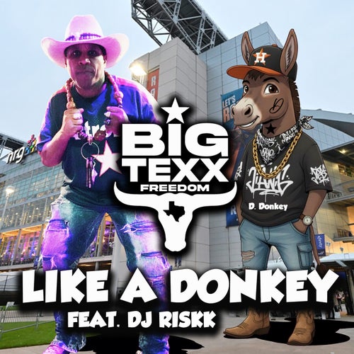 LIKE A DONKEY (feat. DJ RISKK)