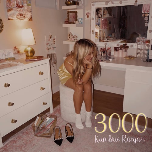 3000