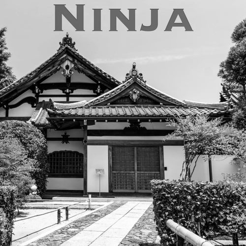 Ninja