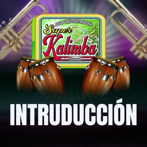 INTRODUCCIÓN