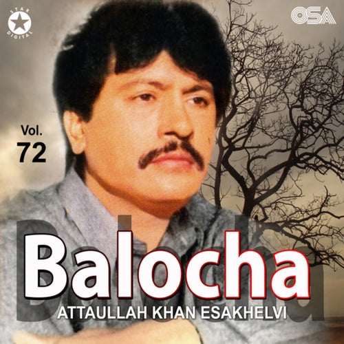 Balocha, Vol. 72