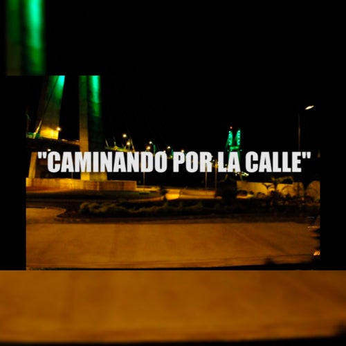 Caminando Por La Calle