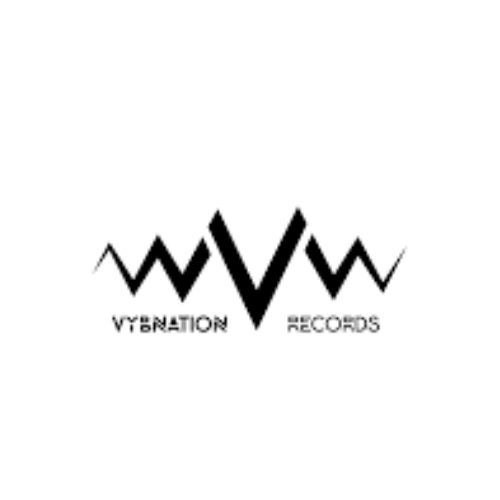 Vybnation Records Profile