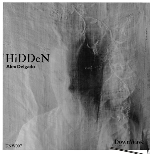 HiddeN