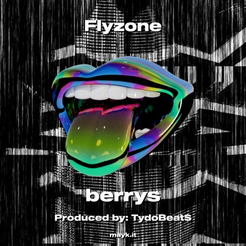 Flyzone