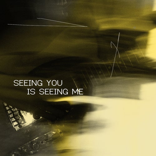 Seeing You Is Seeing Me