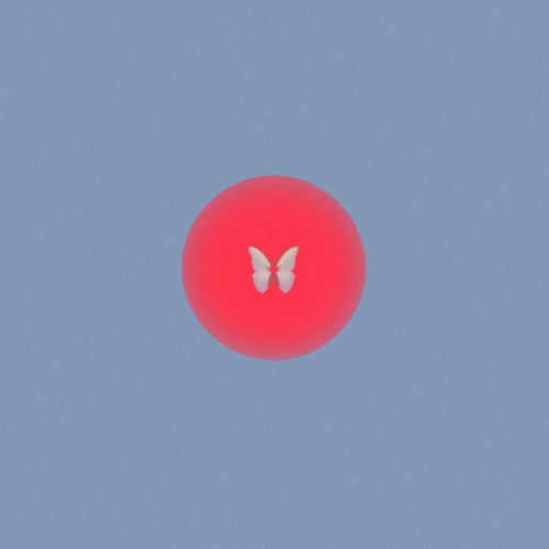 butterfly