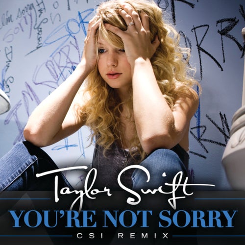Youre Not Sorry (CSI Remix)