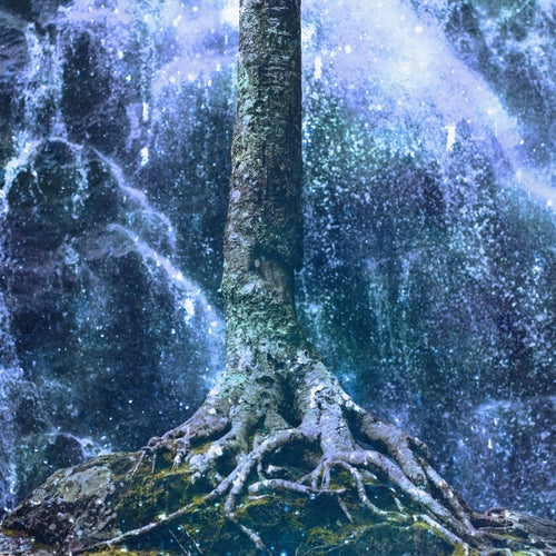 rainy roots
