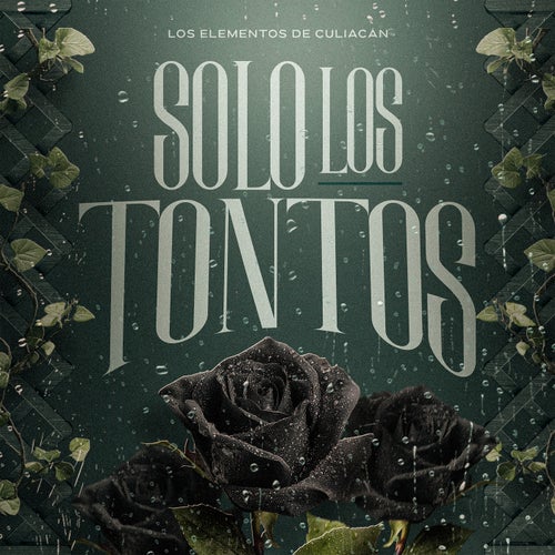 Solo Los Tontos