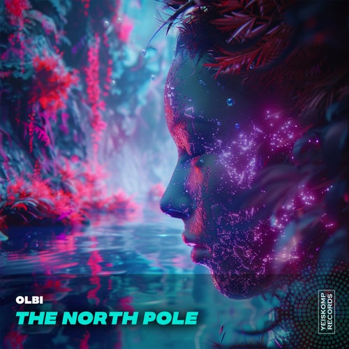 The North Pole