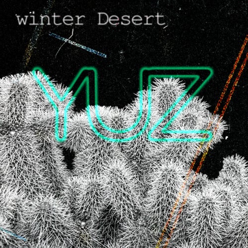 Winter Desert