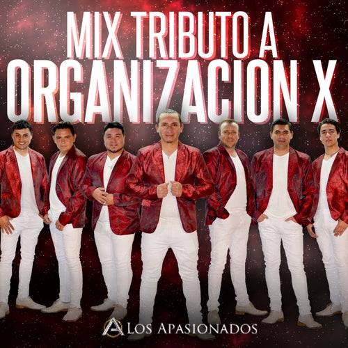 Mix Tributo a Organización X