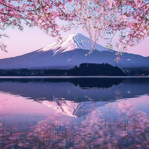 詿