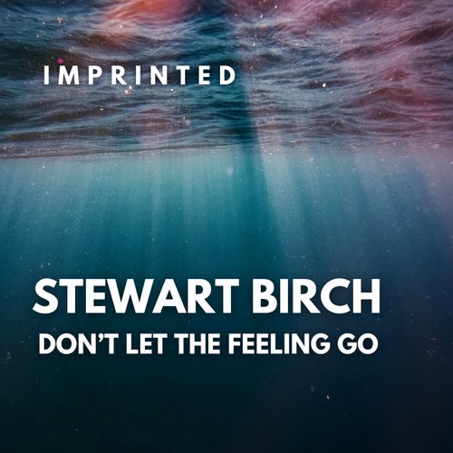 Don't Let The Feeling Go (Original Mix)