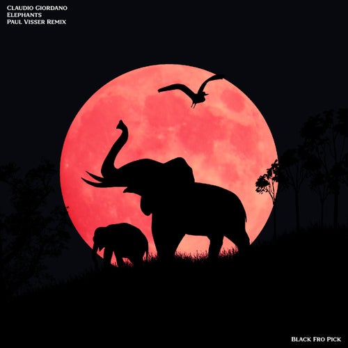 Elephants