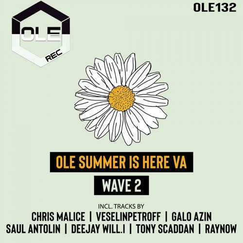 Ole Summer Is Here VA Wave 2