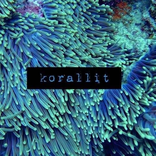Korallit