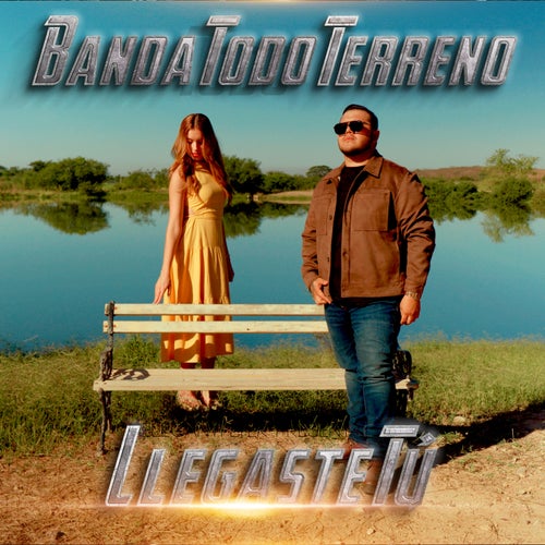 Llegaste Tú