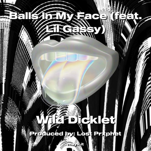 b**** In My Face (feat. Lil Gassy)