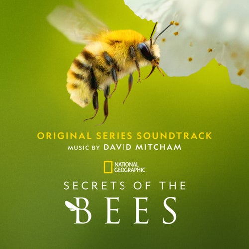 Secrets of the Bees (Original Series Soundtrack)