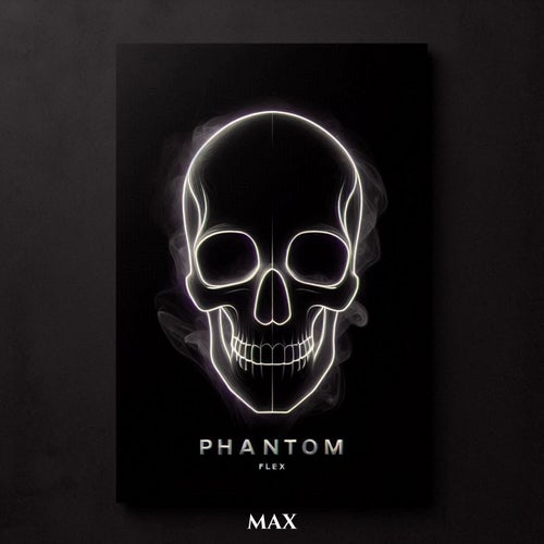 Phantom Flex