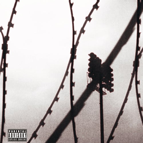 Release of the week