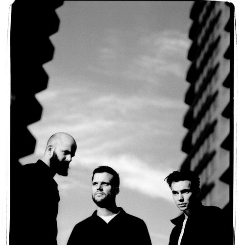 White Lies Profile