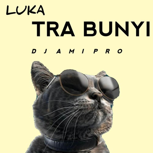 DJ Luka Tra Bunyi
