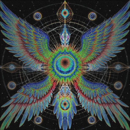 Higgs Boson