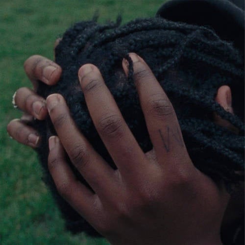 Release of the week