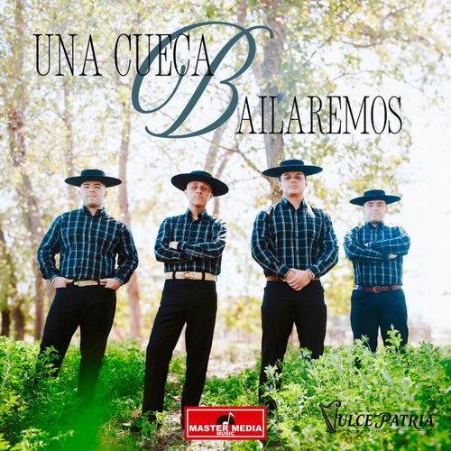 Una Cueca Bailaremos