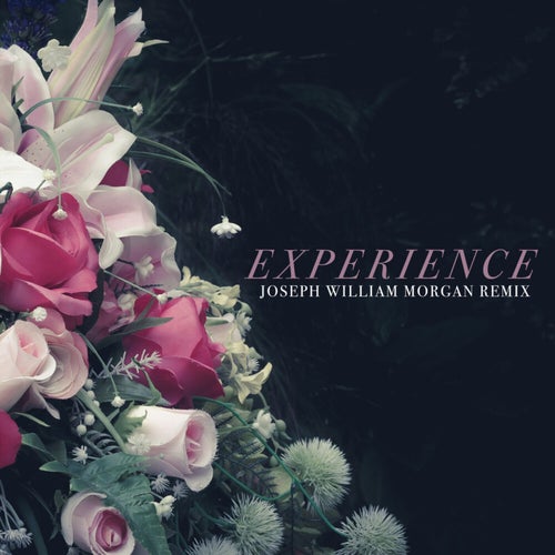 Experience (Joseph William Morgan Remix)