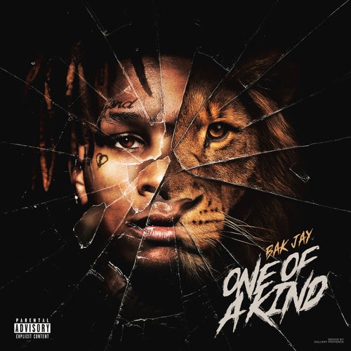 Release of the week